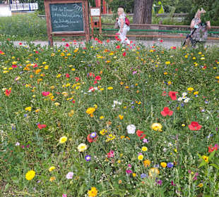 Wandern Friedrichroda