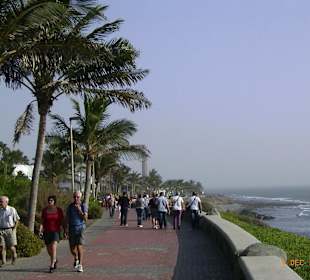 Uferpromenade am Hinterausgang 
