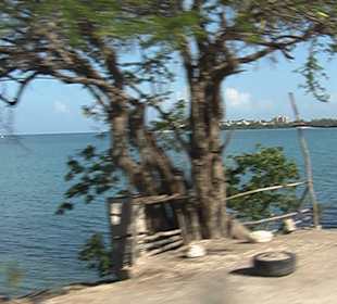 Flughafenshuttle nach Montego Bay