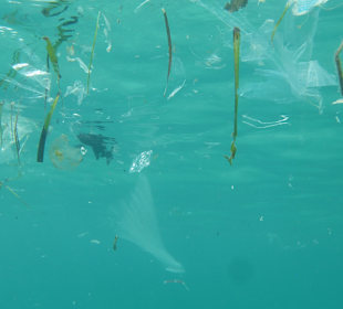 Südwestküste Mallorca