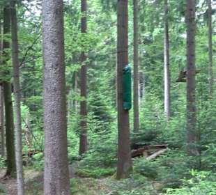 Hochseilgarten Hallwangen