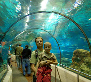 L'Aquarium de Barcelona