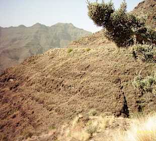 Bergwelt Gran Canaria