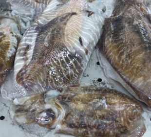 In der Abteilung für Fische und Meeresfrüchte