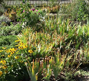 Klosterkirche Maria Gnadenzell