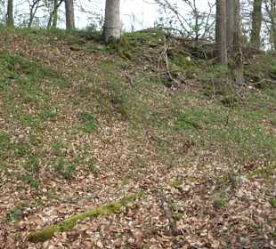 Burgfelsenpfad