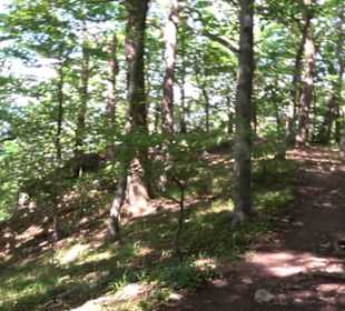 Beurener Fels-Hütte