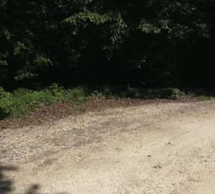 Burg Wäscherschloss