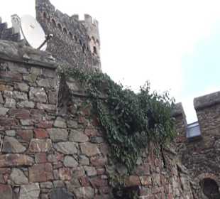 Burg Rheinstein