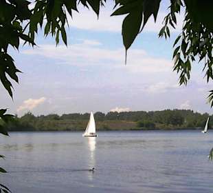 Segeln auf dem Löderburger See