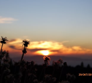 Ausflug "Teide bei Nacht"
