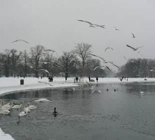 Serpentine nella neve