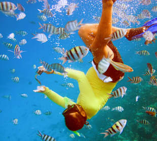 Schnorcheln am Riff