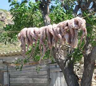 Ort Plimiri, Tintenfisch auf der Wäscheleine