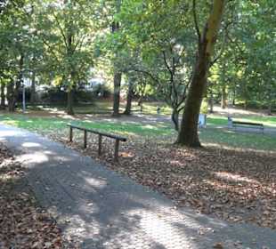 Alter Botanischer Garten