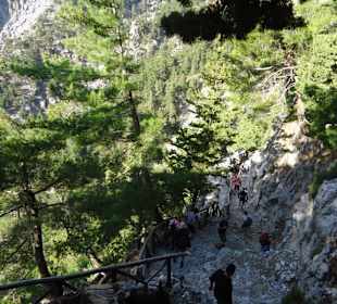 Abstieg in die Schlucht