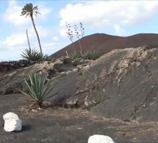 La Geria