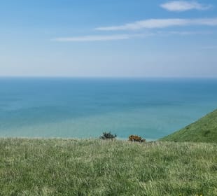 Helles Meer