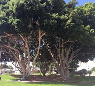 Altstadt Puerto de Mogán