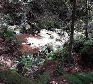 Wandern Sankt Oswald-Riedlhütte