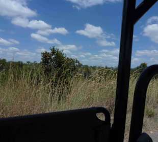 Krüger Nationalpark