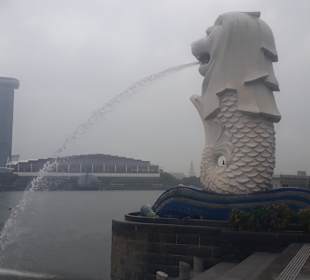 Merlion MBS