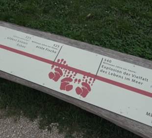 Dinosaurier Museum Altmühltal