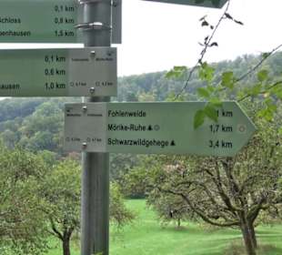 Altwege Rundwanderung Bebenhausen