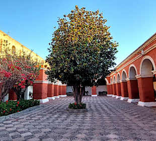 Santa Catalina Kloster