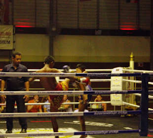 Im Kampf der Thai`s...