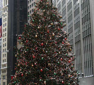 Wallstreet Tannenbaum