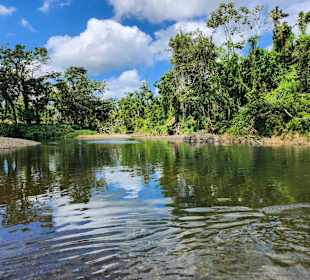 Stadtrundfahrt Bavaro
