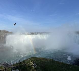 Niagarafälle / Horseshoe Falls