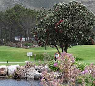 Hermanus Golf Club