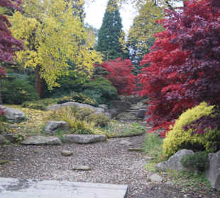 Parkanlage Planten un Blomen