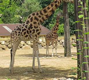 Zoo & Botanischer Garten Pilsen