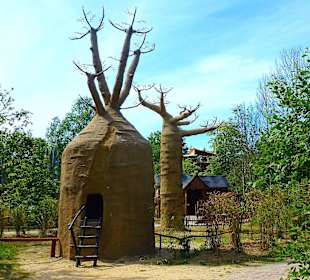 Hier geht es zu den Kattas!