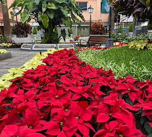 Plaza de Víctor Pérez