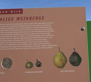 Weinerlebnisweg