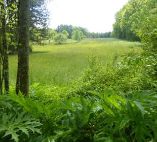 Wanderweg Mariabrunn-Röhrmoos