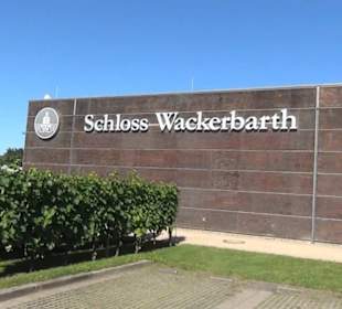 Schloss Wackerbarth