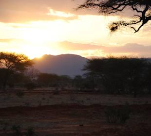 Abendstimmung im Nationalpark