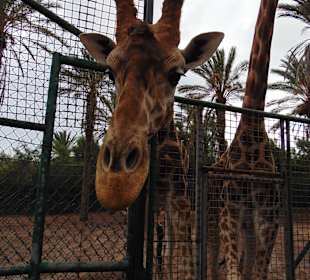 Что там у тебя вкусного?