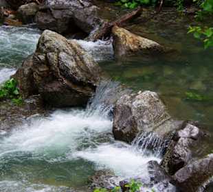 Der Plöckenpass 06-2011