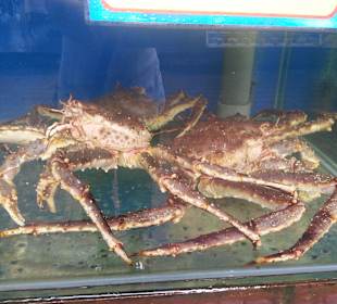 Auslegeware in den Restaurants am Fluß