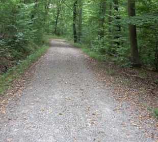 Altwege Rundwanderung Bebenhausen