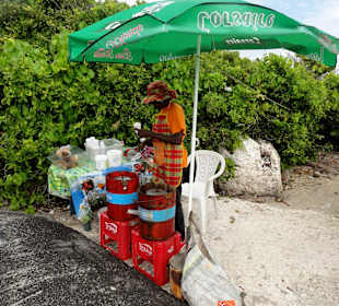 Sorbet Coco aus der Eismaschine