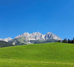 Ausblick