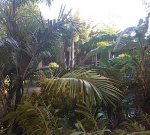 Universal Studios Florida