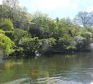 Alsterkanalrundfahrt 